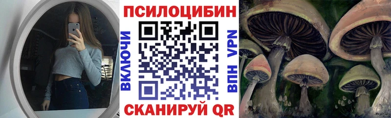 где купить   Покровск  Псилоцибиновые грибы мухоморы 